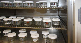 Stability testing service